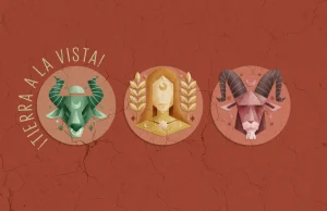 Características de los signos de tierra ¡Tierra a la vista!