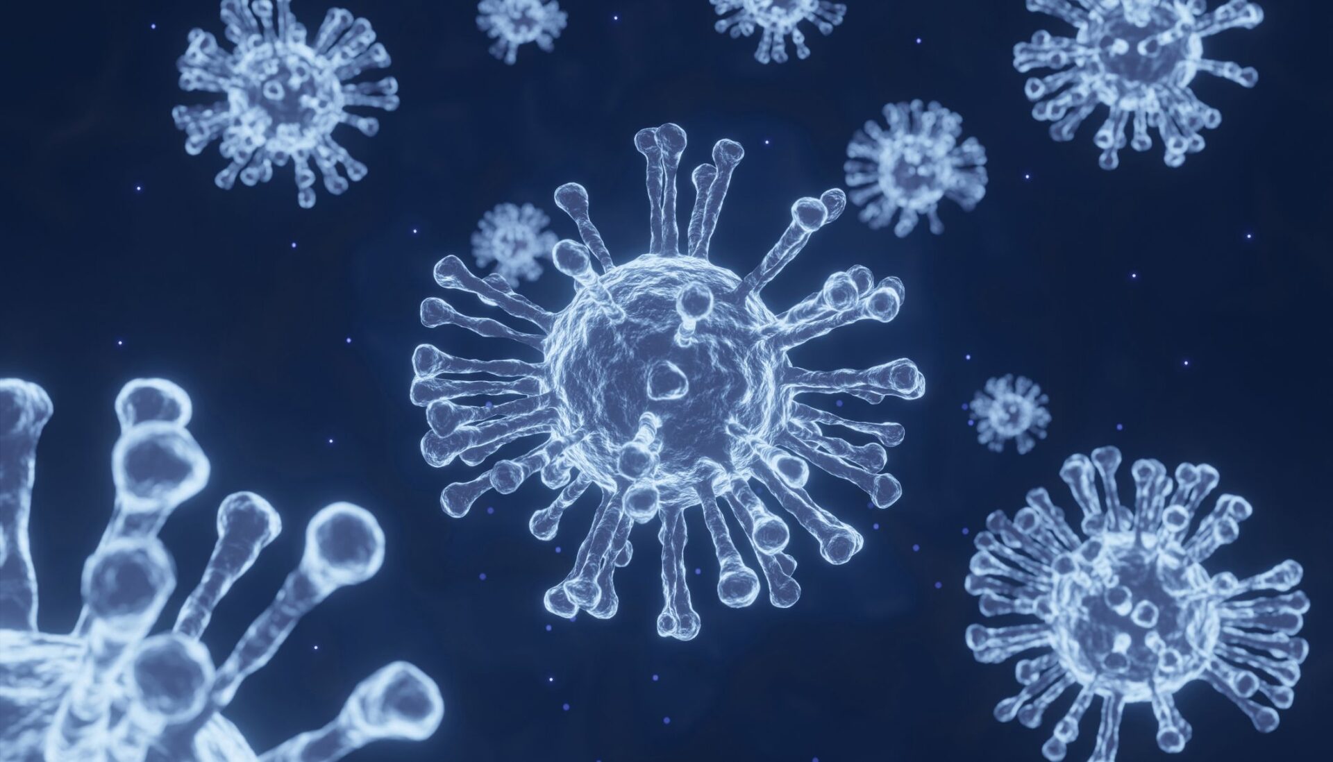 Metapneumovirus humano