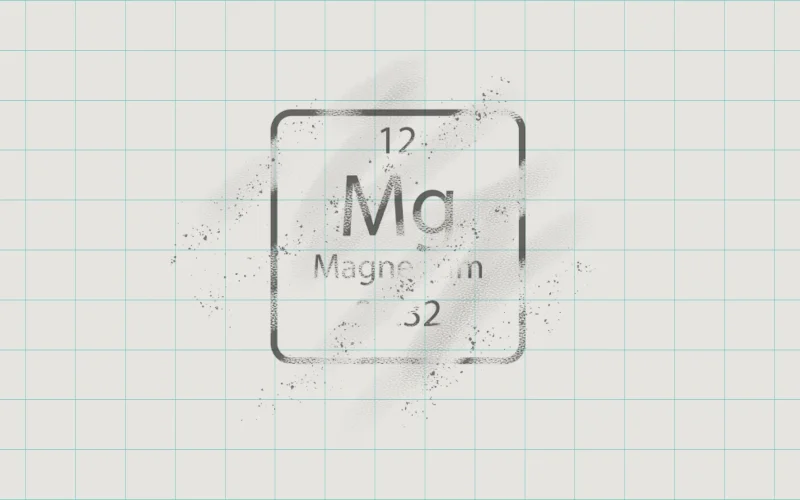 Señales de que te falta magnesio ¿Andas arrastrando la cobija?